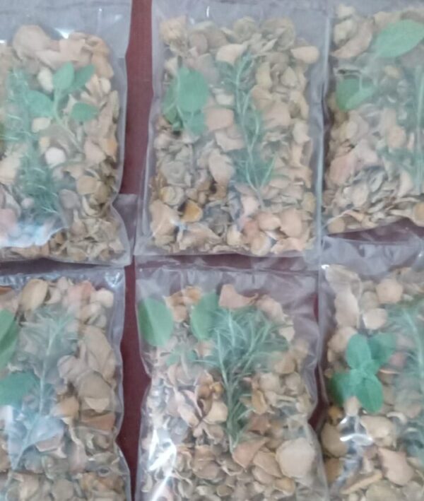 Açafrão desidratado (100g) - Image 2